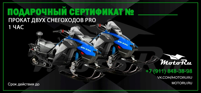 Прокат двух снегоходов, индивидуальный маршрут, 1 час